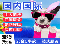 昆明长水空运地址国际宠物托运 【国